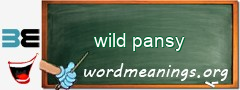 WordMeaning blackboard for wild pansy